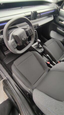 Citroen C3 You